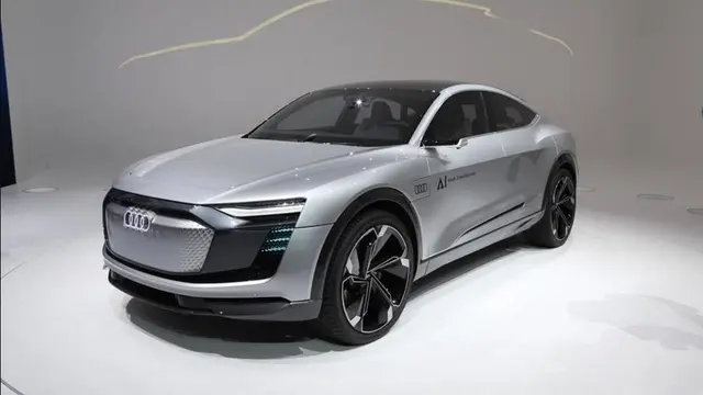Audi Elaine