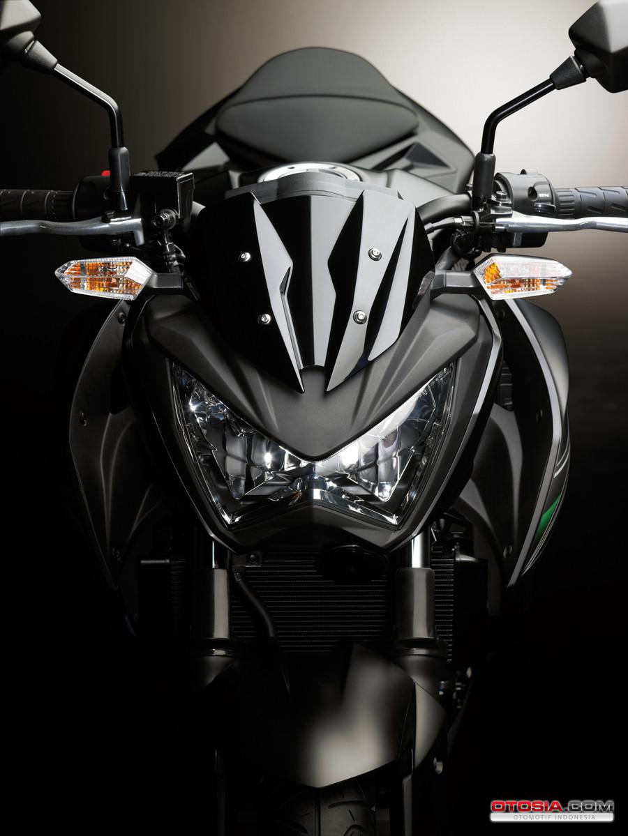 Kawasaki Z250