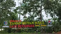 Taman Hutan Raya (Tahura) Lati Petangis, Paser, Kalimantan Timur. (Foto: Istimewa)