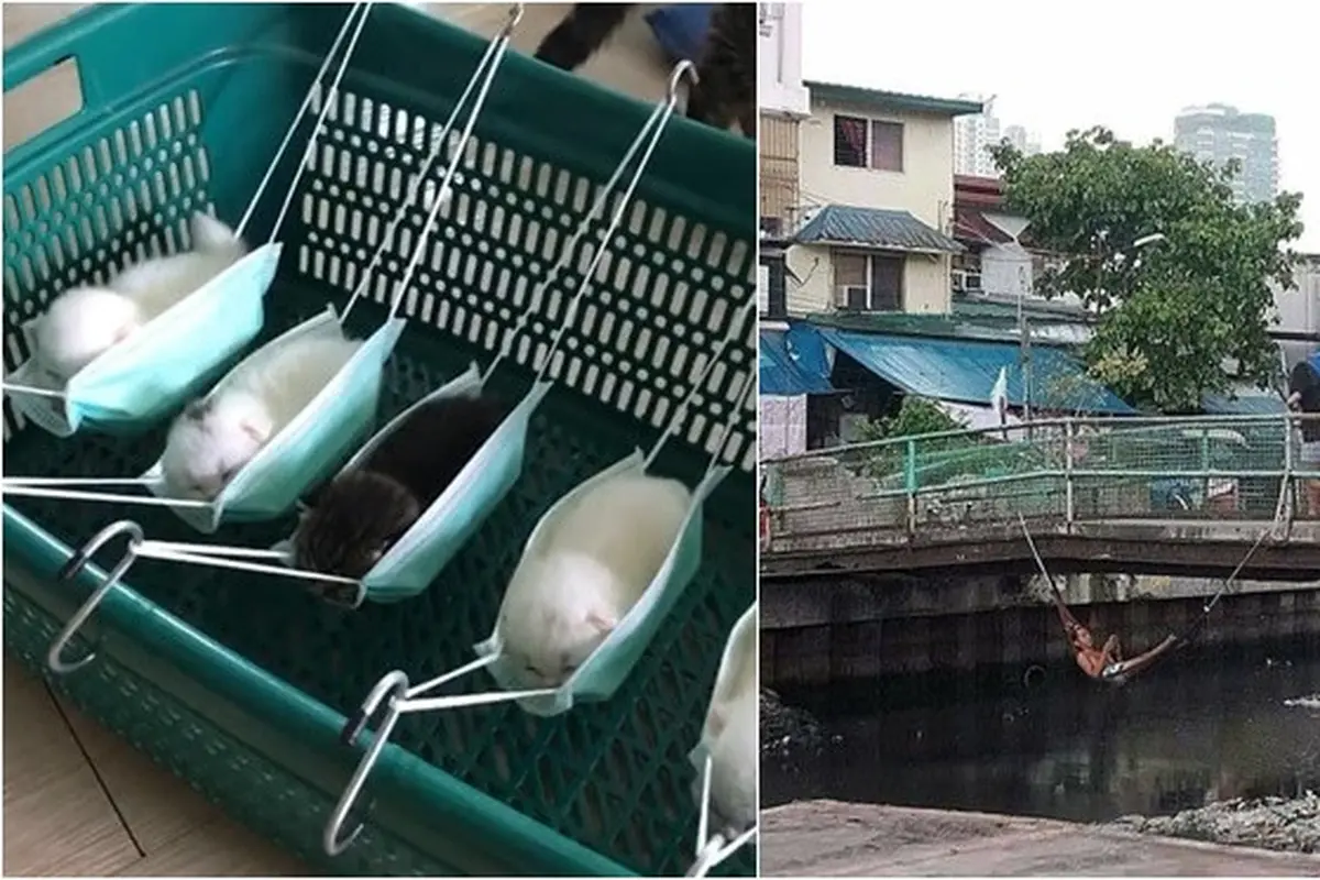 6 Potret Lucu Santai di Tempat Tidur Gantung Low Budget Ini Bikin Ngakak