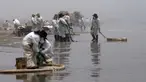 Petugas kebersihan bekerja untuk mengeluarkan minyak dari Pantai Cavero di Callao, Peru, 26 Januari 2022. Pembersihan Pantai Cavero dari tumpahan minyak kapal tanker Mare Doricum yang dihantam gelombang akibat letusan gunung berapi Tonga masih terus dilakukan. (Cris BOURONCLE/AFP)