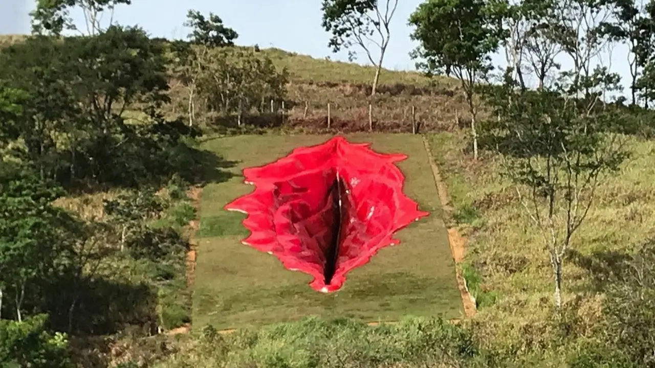 Patung Vagina Raksasa Picu Perdebatan Sengit di Tengah Warga Brasil