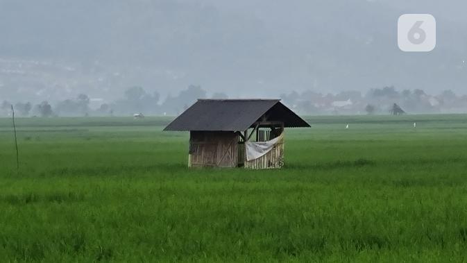 Hasil Foto Samsung Galaxy S21+. Liputan6.com/Mochamad Wahyu Hidayat