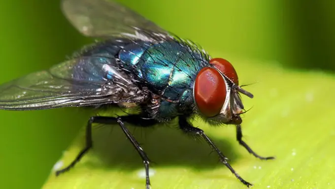 copyright by Thinkstock.com