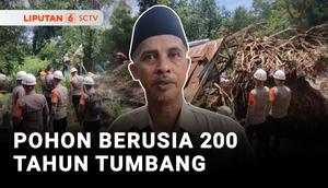 Hujan deras disertai angin kencang mengakibatkan sejumlah pohon besar di Kompleks Makam Gunung Jati, Kabupaten Cirebon, Jawa Barat tumbang. Salah satunya pohon berusia 200 tahun dengan tinggi 15 meter.