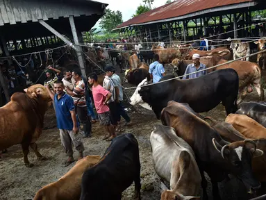 Orang-orang berkumpul di pasar yang menjual ternak menjelang perayaan Idul Fitri yang menandai berakhirnya bulan suci Ramadan di Sibreh, provinsi Aceh (20/5/2020). (AFP/Chaideer Mahyuddin)