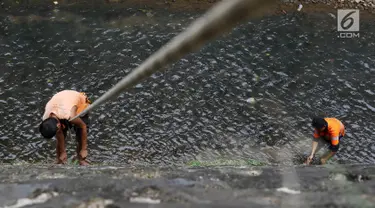 Petugas UPK Badan Air Dinas Kebersihan DKI Jakarta membersihkan rumput liar di sepanjang turap Kali Baru, Jakarta, Selasa (18/7). Kegiatan rutin tersebut merupakan upaya menjaga kebersihan sungai di Ibu Kota. (Liputan6.com/Immanuel Antonius)