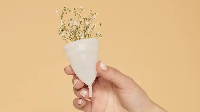 Ilustrasi Menstruasi