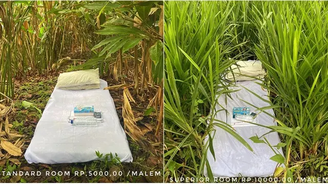 6 Potret Fasilitas Penginapan di Luar Nalar Ala Khoirul Anam, Berkonsep Semak-semak