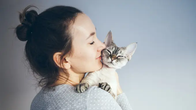 Happy Purrfect Valentine! Ini 5 Ide Seru Tunjukkan Kasih Sayang pada Kucing di Rumah