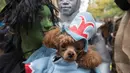 Seekor anjing berdandan seperti karakter di The Wizard of Oz selama mengikuti Parade anjing Halloween di New York, USA, Sabtu (24/10/2015). Pemilik anjing juga ikut memakai busana - busana aneh untuk mengikuti parade ini.  (REUTERS/Keith Stephanie)