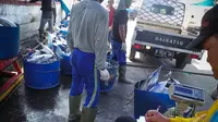 Periknus Sorong Buang 6 Ton Ikan Hasil Panen Sehari
