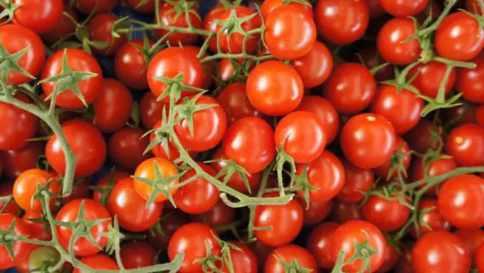 Foto: copyright Thinkstockphotos.com