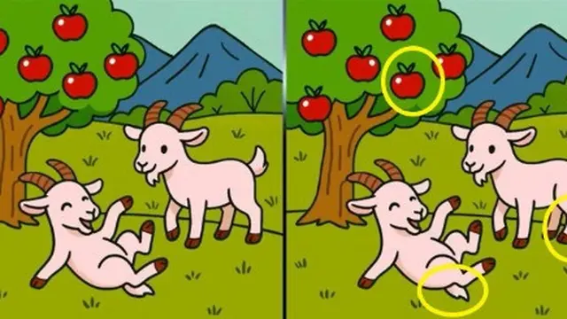 Temukan 3 Perbedaan Gambar Kambing di Lapangannya