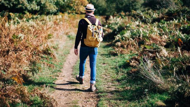 Ini Kata Pakar Tentang Manfaat Berjalan Kaki 30 Menit Per Hari Health Liputan6 Com