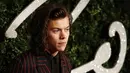 Harry Styles membuat para wanita histeris ketika dirinya memotong rambut. Harry adalah salah satu anggota One Direction yang memiliki ciri khas imej 'Bad Boy' pada rambutnya. (AFP/Bintang.com)