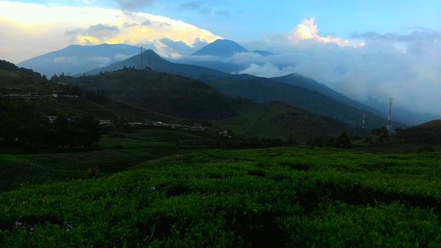 Pemandangan Gunung Gede Pangrango, di wilayah Bogor dan Sukabumi, Jawa Barat. (Liputan6.com/Achmad Sudarno)