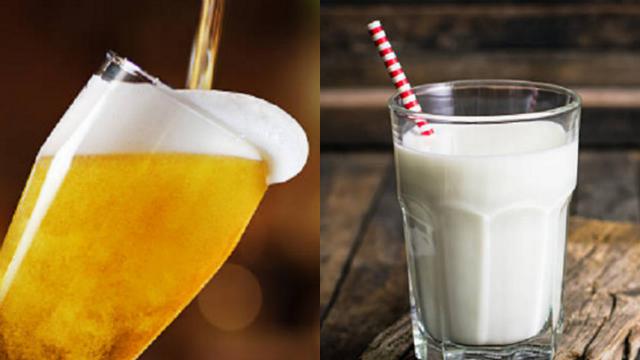 Bilk adalah pencampuran antara bir dan susu (iStock)