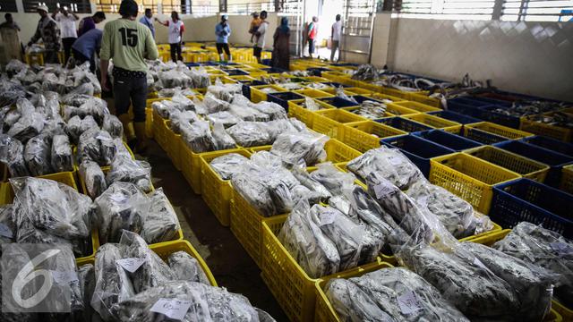 2016324-Pelelangan-Ikan-Muara-Angke-Jakarta-FF