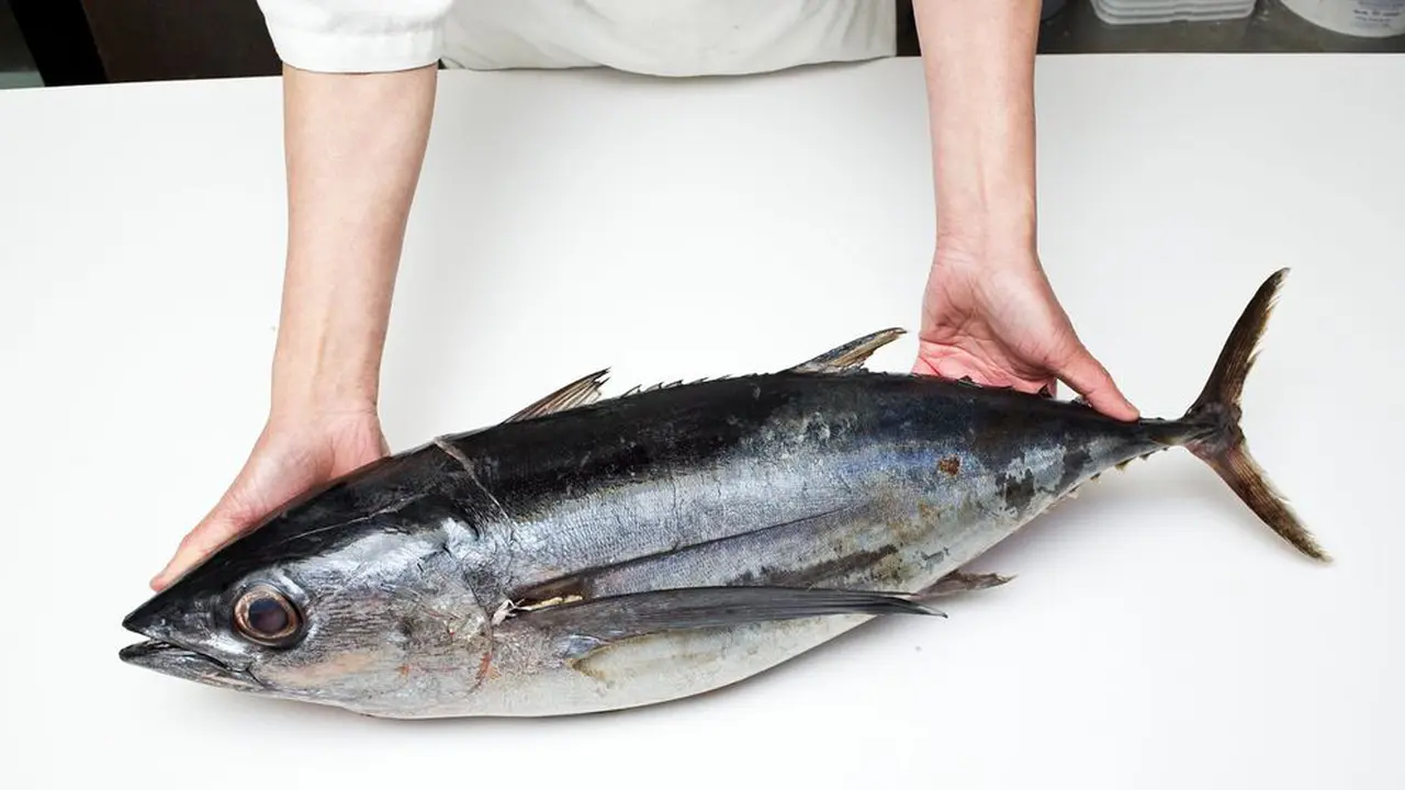 Kadar Merkuri Ikan yang Aman Bagi Anak dan Ibu Hamil