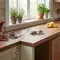 10 Bahan Dapur yang Bisa Membantu Mengusir Semut dari Rumah Secara Alami, Simak Caranya