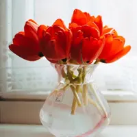 Berikut cara tepat menyimpan bunga segar di rumah agar tetap mekar dan tidak cepat layu./copyright pexels/Lisa from Pexels