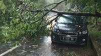 Pohon Tumbang Menimpa Sebuah Mobil di Bogor, Jawa Barat. (Foto: Achmad Sudarno/Liputan6.com)