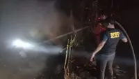 Kebakaran Kandang Ayam di Blora, Kerugian Capai Rp 1,8 M