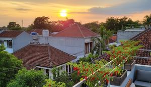 Model Kebun Cabai di Rooftop Rumah. (Foto: AI)