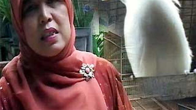 Untung Besar Dari Menangkar Burung Langka News Liputan6 Com