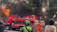 Kronologi Kabel Terbakar hingga Merambat ke Pohon di Cinere Depok