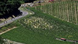 Pebalap beraksi di Etape 15 Tour de France yang berjarak 160 km antara Bourg-en-Bresse dan Culoz, Prancis, (17/7/2016). (AFP/Jeff Pachoud)