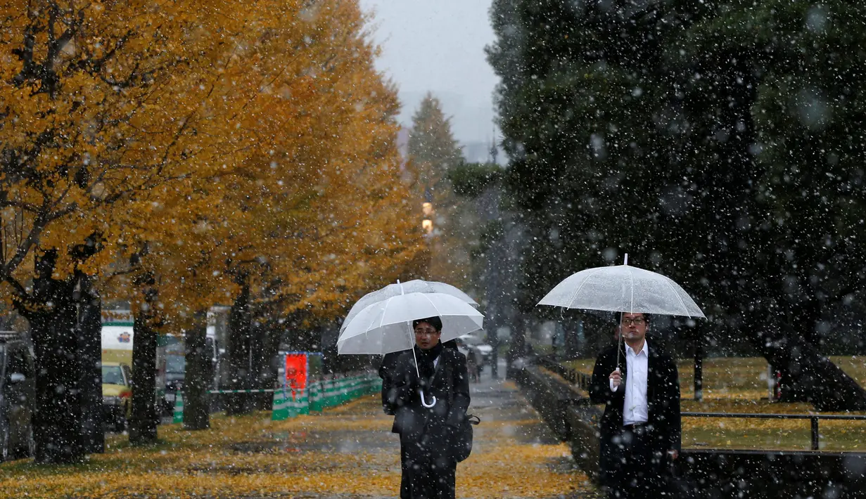 Dua pria berpayung saat salju turun di Tokyo, Jepang, Kamis (24/11). Terakhir salju turun pada 54 tahun yang lalu tepatnya tahun 1961. (REUTERS / Toru Hanai)