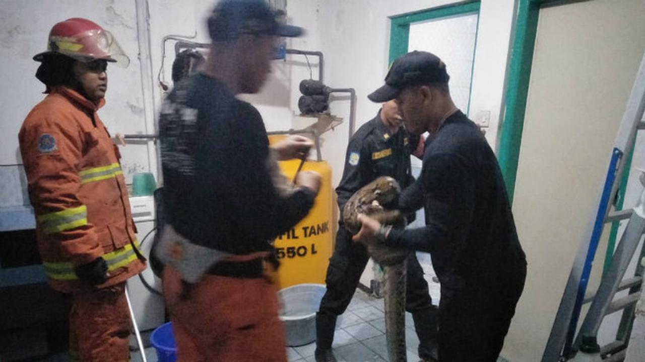 (Foto: Liputan6.com/Dian Kurniawan)