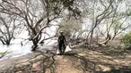 Nelayan membawa kantung berisi tumpahan limbah minyak (oil spill) yang mencemari Pantai Muara Beting, Muara Gembong, Bekasi, Jawa Barat, Minggu (28/7/2019). Sudah empat hari nelayan Muara Gembong beralih profesi menjadi pengepul oil spill yang mencemari pantai. (merdeka.com/Iqbal Nugroho)