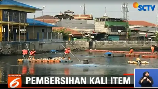 Selain penyemprotan, ada juga masyarakat yang menaburkan serbuk berisi jamur yang bisa meredam bau tak sedap.