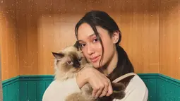 Yasmin Napper termasuk pencinta kucing. Perempuan kelahiran 22 November 2003 menggendong kucing bulu cokelat dengan penuh kasih sayang. Sosoknya yang menyukai binatang membuat warganet menjadi jatuh hati pada Yasmin. (Liputan6.com/IG/@yasminnapper)