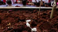 Waspada Virus Hanta di Indonesia, Penyakit Mematikan dari Tikus yang Mengintai di Sekitar Rumah