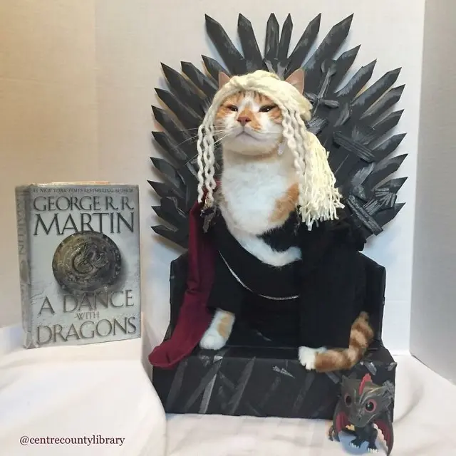 10 Potret Kucing Cosplay Sebagai Ikon Sastra dan Film Bikin Gemas