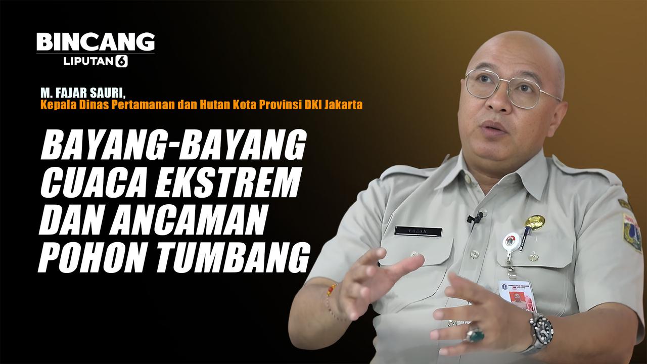 Sederet Cara Pemprov Jakarta Antisipasi Pohon Tumbang, Sampai Pakai Alat Canggih