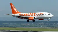 Tabrak Burung, Mesin Pesawat EasyJet Berhenti Mendadak