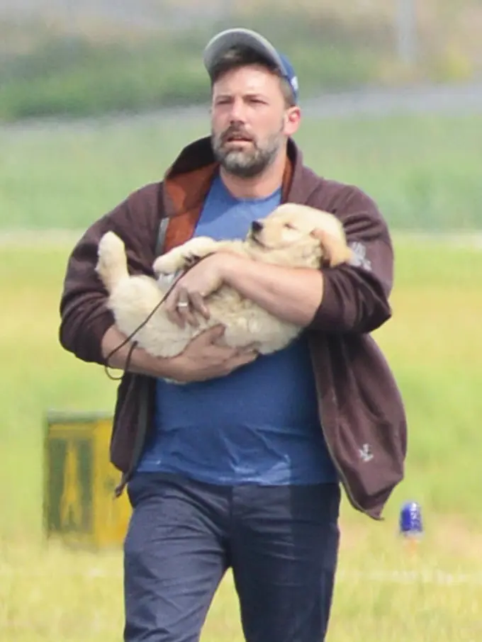 [Bintang] Ben Affleck