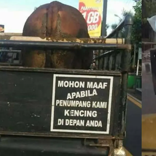 6 Tulisan Lucu di Belakang Mobil Bak Terbuka, Pengendara Lain Gagal Fokus