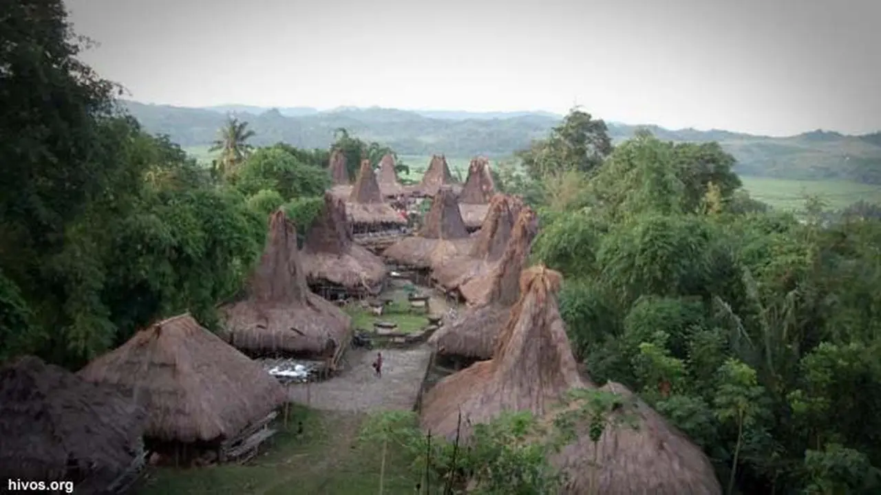 sumba130213c.jpg