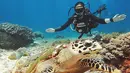 Tak lengkap rasanya jika datang ke Pulau Komodo tanpa melihat keelokan terumbu karang di pantai tersebut. Mantan kekasih Giorgino Abraham ini terlihat menikmati momen menyelamnya. (Liputan6.com/IG/@angelagilsha)
