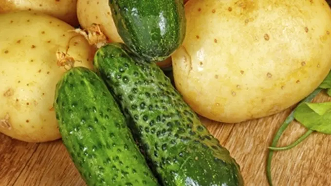 Foto: copyright thinkstockphotos.com