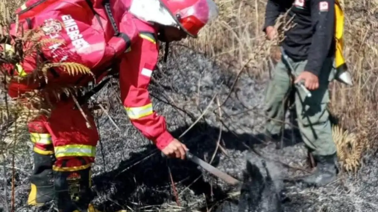 Petugas memadamkan kebakaran di Rinjani