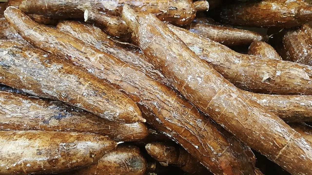cara membuat keripik singkong