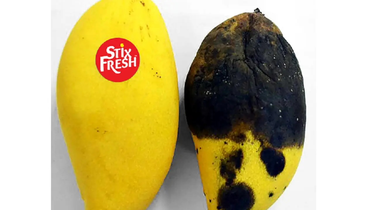 Stiker Ajaib, Bisa Jaga Buah Tetap Segar hingga 2 Minggu
