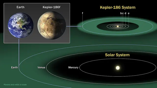 Ilustrasi planet alien Kepler-186f yang diyakini sebagai kembaran Bumi (NASA Ames/SETI Institute/JPL-Caltech)